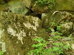 -本溪汤沟绿石谷森林公园