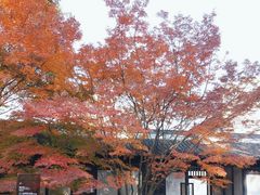 -上海市龙华烈士陵园