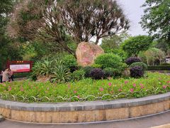 -滴水岩森林公园
