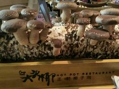 -大头椰·椰子鸡火锅(南宁万象城店)