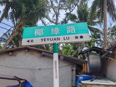 -东郊椰林