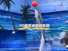 -多彩贵州城极地海洋世界