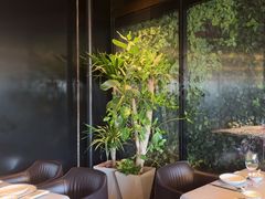 -柿合缘新京菜(国金中心商场店)
