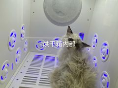 -宠福鑫动物医院(城北分院)