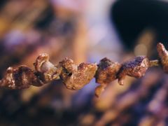 -新疆阿力烧烤