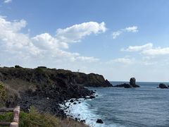 -涉地可支