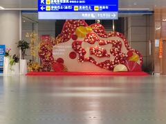 -港珠澳大桥(珠海段)
