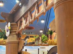 -卡通尼·Safari非洲探索乐园·生日会(金桥国际商业广场店)