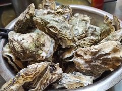 -力力渔港涉外店