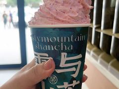 -雾与山茶(大禹城店)