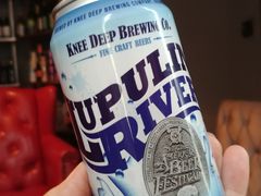 -虚荣精酿酒屋(五羊店)