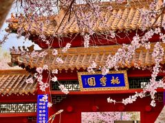 -桃花堤公园