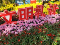 -西北湖绿化广场