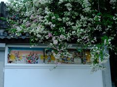 -深圳国际园林花卉博览园