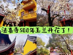 -杭州上天竺法喜讲寺