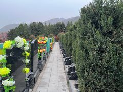 -西安市金南山绿色墓园