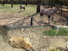 -大连森林动物园