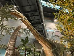 -湖南省地质博物馆