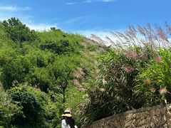 -东极岛景区