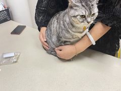 -爱侣·安琦尔宠物医院·中兽医针灸·心内科·狂犬免疫点(宝山区院)
