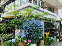 -溪岸路花鸟市场
