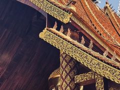 -西双版纳傣族园