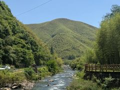 -莫干山风景区
