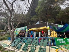 -芦仙山景区-飞越丛林探险乐园