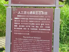 -成都市活水公园