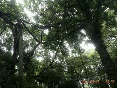 android_upload_pic-绮园景区