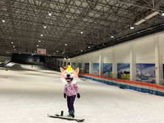 -绍兴启迪乔波冰雪世界