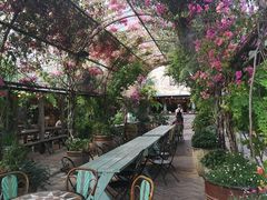 -The Grounds of Alexandria