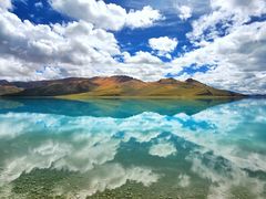 -鲁朗石锅城·松茸天麻石锅鸡