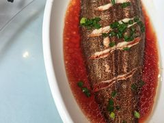 -舌尖上·霞浦滩涂海鲜·新闽菜(总店)