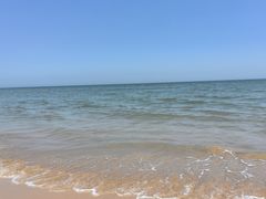 -日照海滨国家森林公园