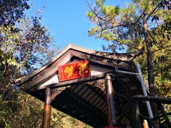 -遂昌金矿国家矿山公园