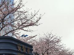 -苏州现代传媒广场商业