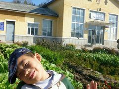 -五营红松林海景区