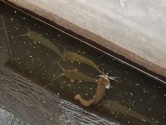-龟场私房菜