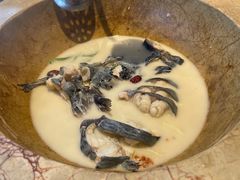 -滇小鱼·云南野生菌火锅(上杭路店)