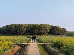 -八卦田遗址公园
