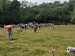 -金山植物公园
