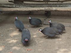 -秦皇岛野生动物园