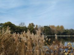 -长春市南湖公园