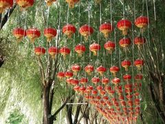-北戴河集发农业梦想王国