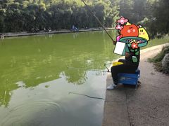 -济南南郊宾馆