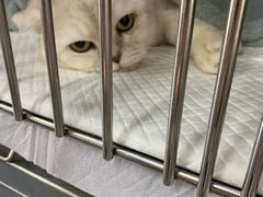 -爱侣宠医·鹦鹉专科·小型哺乳类·异宠专科(灵石路店)