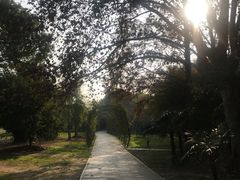 -东湖落雁景区