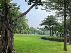 -白鹭洲公园