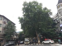 -莫干山风景区